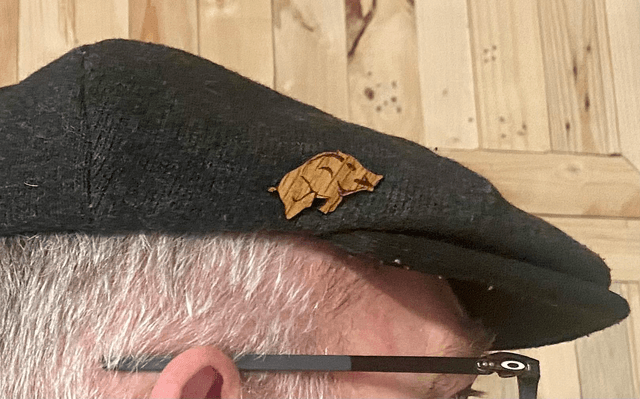 PINS