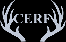 Cerf